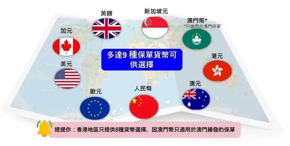 保单货币选择展示