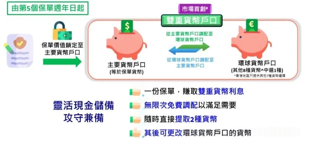双重货币户口说明